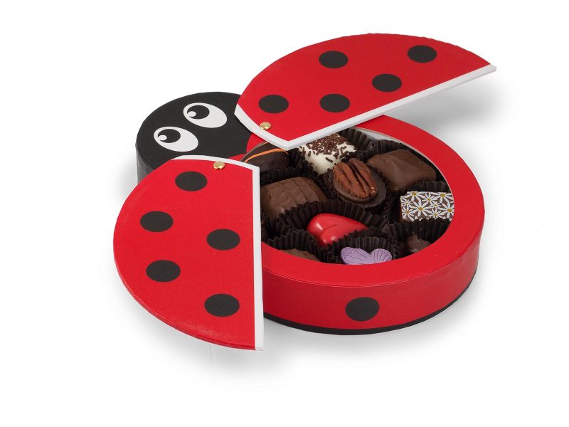 Lady Bug Gift Box